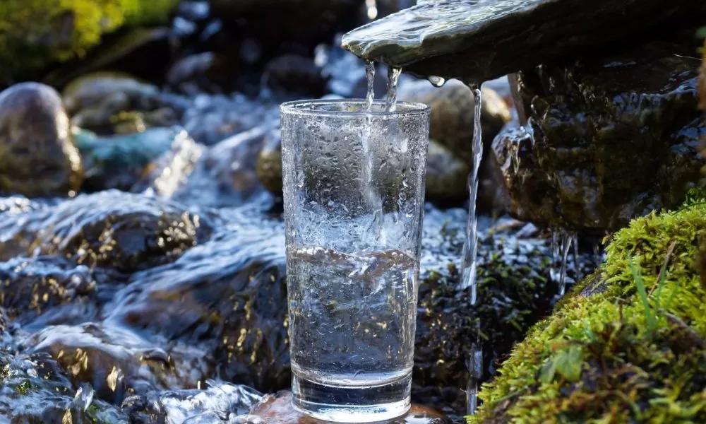 Что полезней вода из источников или вода из фильтра